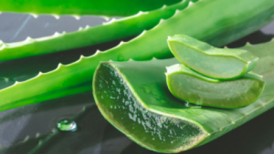 A versatile product for skin care: Aloe First
